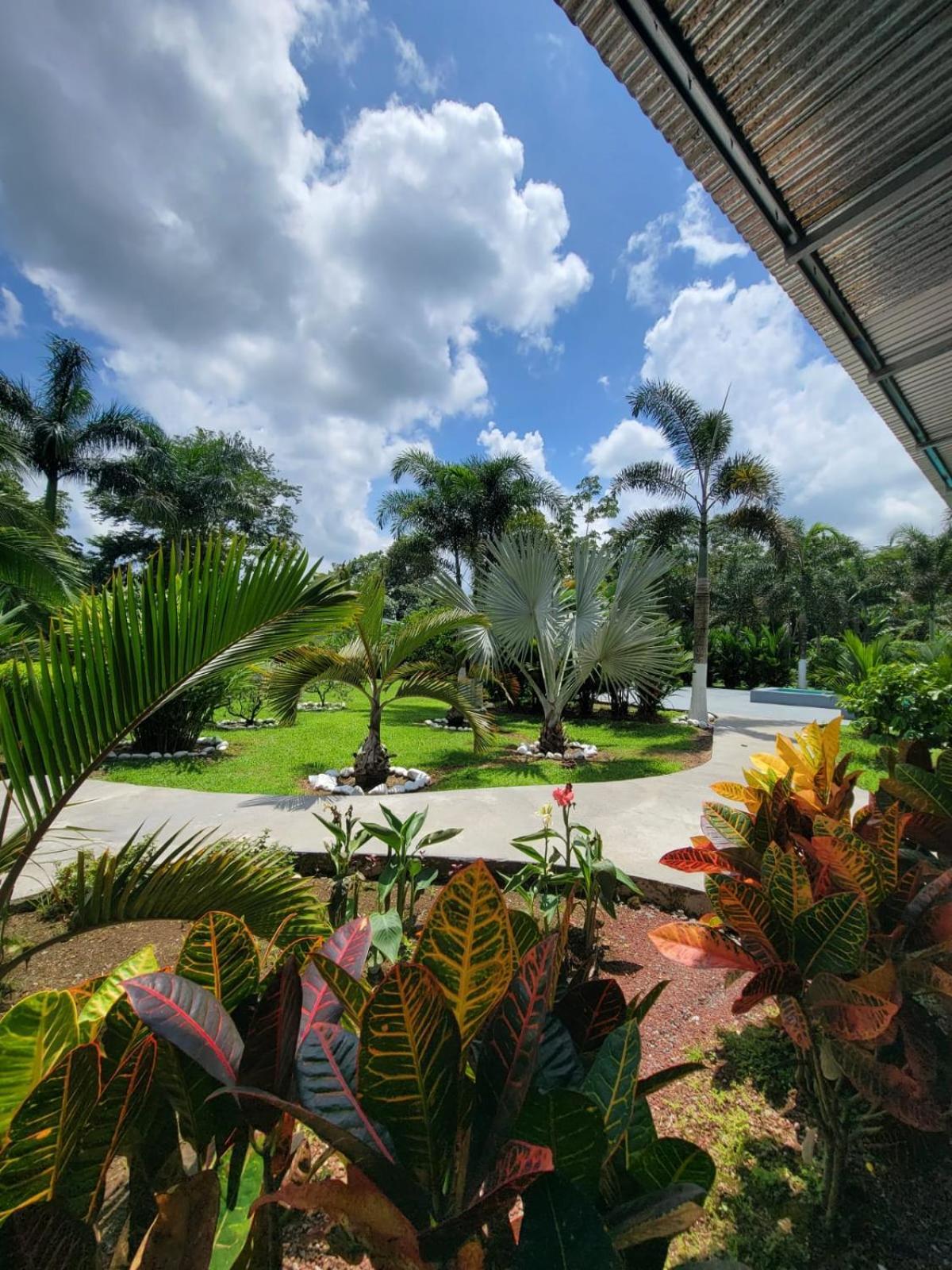 Hotel Campestre Arenal La Fortuna Kültér fotó